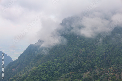 View of fog in forest on top tree in mountain at thailand