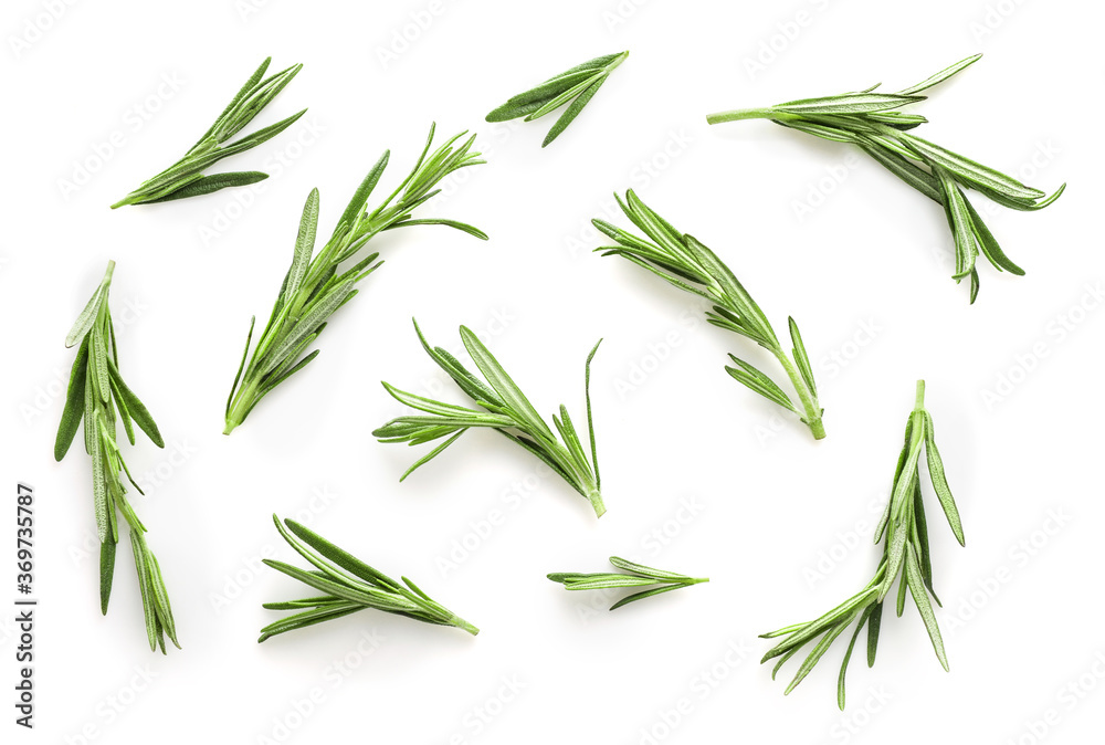 Fototapeta premium Fresh aromatic rosemary sprigs texture