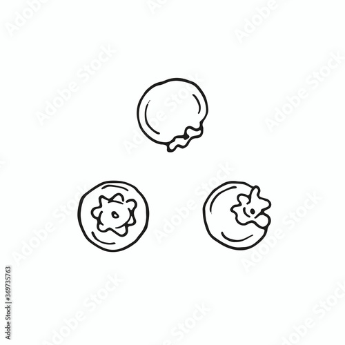 Three blueberry berries isolated on white background. Vector hand drawn sketch illustration in doodle outline style. Concept of fresh tasty nutritious food for cooking salads, baking cakes, cocktails.