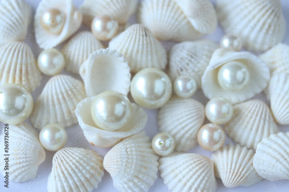 夏イメージ　　真珠と貝殻の背景
