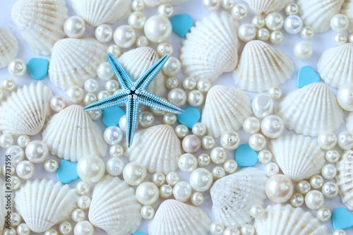 夏イメージ 真珠と貝殻とスターフィッシュ