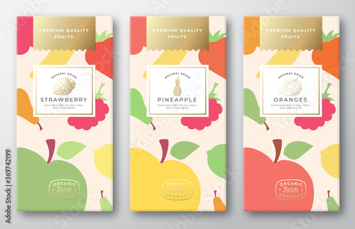 Dried Fruits Label Packaging Design Layout Collection. Vector Paper Box with Fruit and Berries Pattern Background Cover. Modern Typography and Hand Drawn Pineapple, Strawberry and Oranges.