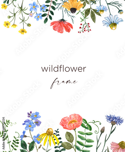 Wildflower portrait frame on white background. Beautiful end elegant watercol...
