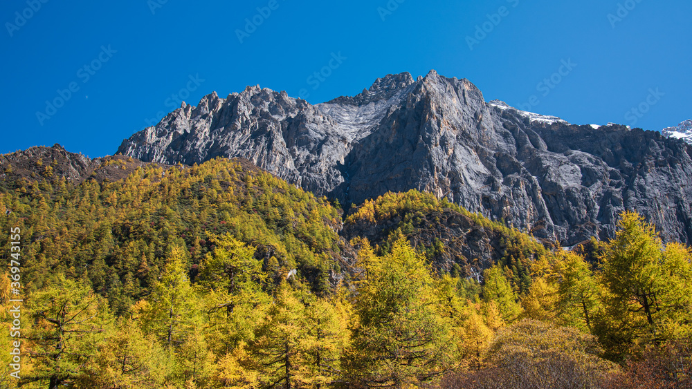 High mountain in Yading with autumn leaves