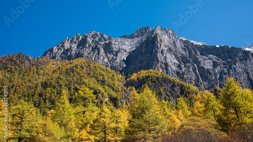 High mountain in Yading with autumn leaves