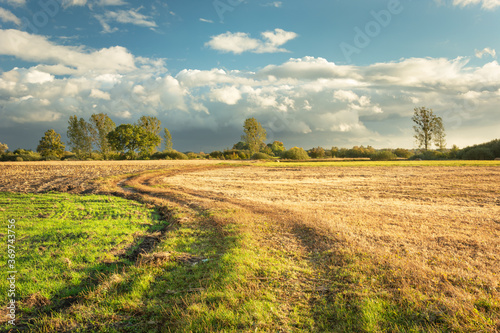 A winding dirt road through fields  meadows and clouds on the sky