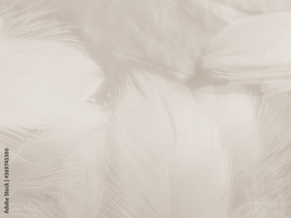 Beautiful abstract orange and white feathers on white background, soft brown feather texture on white pattern background, yellow feather background