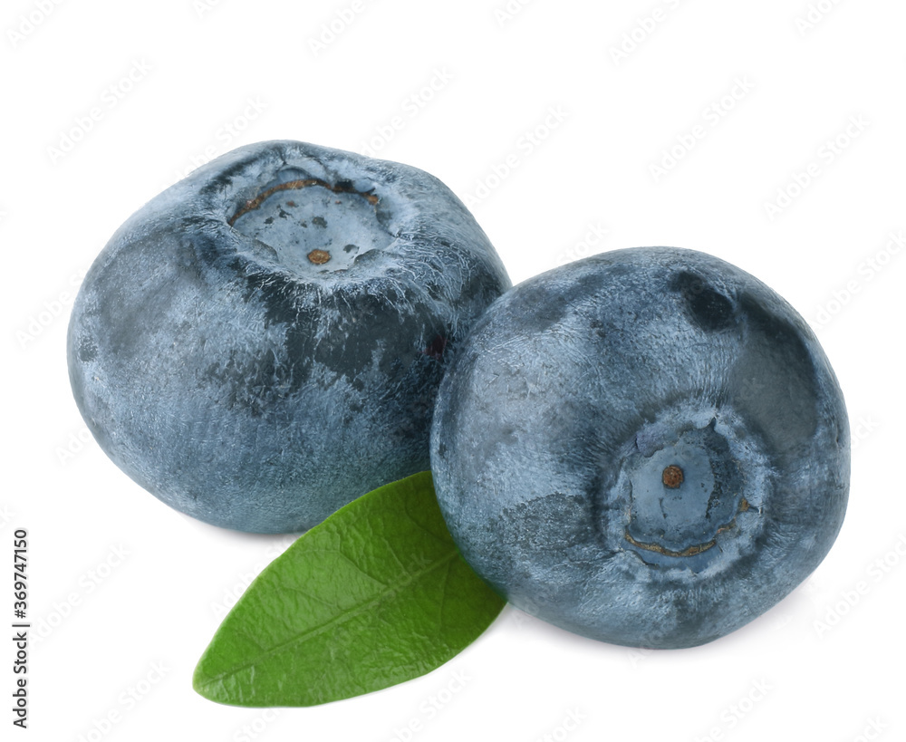 Blueberries isolated on white background Blueberries isolated on white background