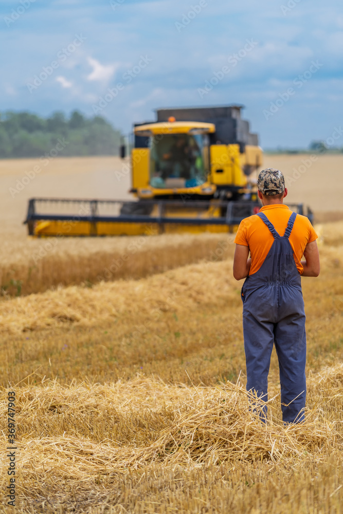 Agriulture process in wheat field. Farmer and heavy technics. Rural landscape. Agriulture process in wheat field. Farmer and heavy technics. Rural landscape.