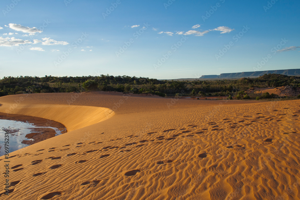 Naklejka premium Jalapão Dune Oasis Brazil Landscape