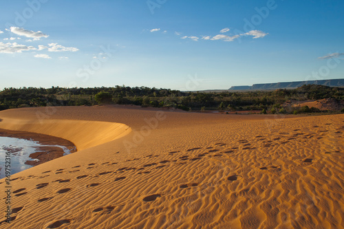 Jalapão Dune Oasis Brazil Landscape