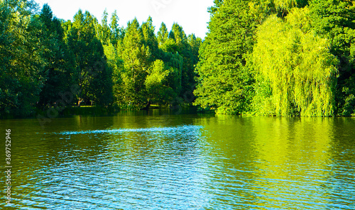 Fototapeta Naklejka Na Ścianę i Meble -  beautiful summer lake during the day