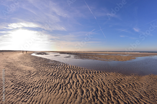 Sea shore at low tide on a sunny day