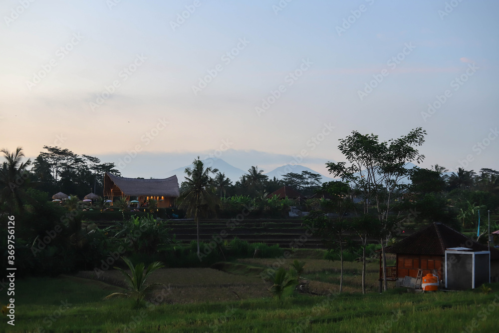 Obraz premium Beautiful Rice Terrace, Ubud, Bali, Indonesia with the view of Mount Batur and Agung Volcano