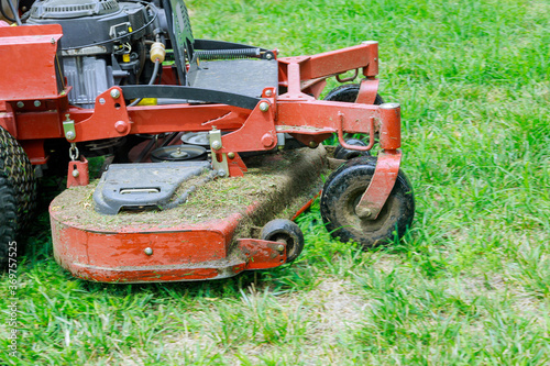 Gardening activity, lawn mower cutting the grass.