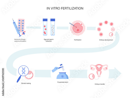Human fertility concept