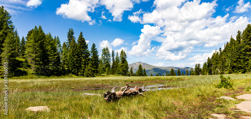 Turracher Höhe, Hochmoor am drei-Seen-Wanderweg und blauer Himmel, Panorama. photo