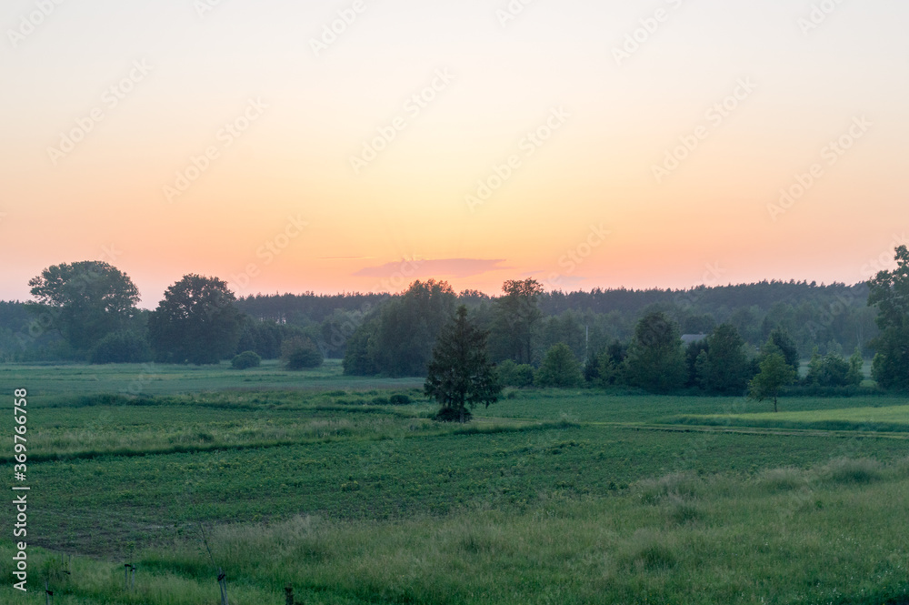 Landscape view on field and trees at sunset time.