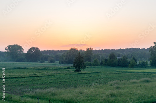 Landscape view on field and trees at sunset time.