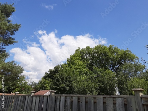 white wooden fence