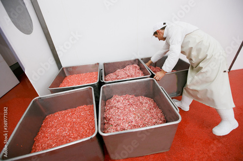 A worker arranged raw meat minced in an industrial process in a stainless steel crate at a meat processing factory. Horizontal view. photo