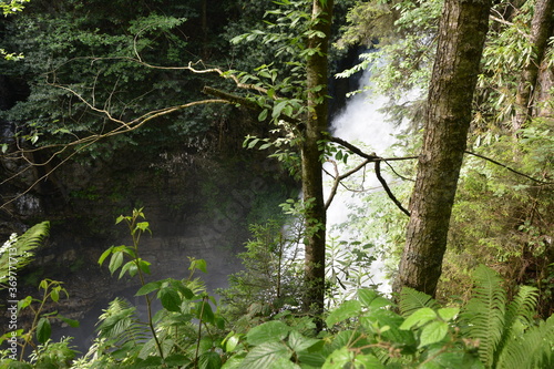 Waterfall in forest.