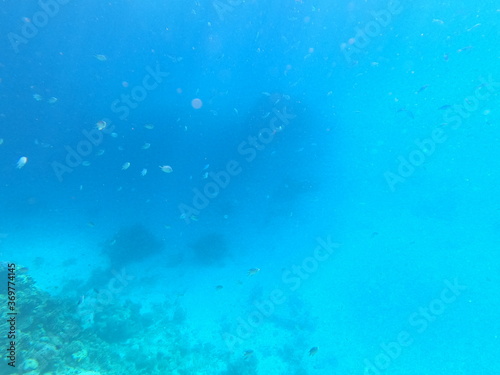 Reef with lots of colorful corals and lots of fish in clear blue water in the Red Sea near Hurgharda, Egypt