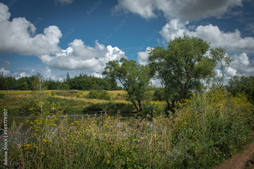 summer landscape with clouds and trees