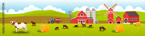 Farm livestock vector landscape with grazing cows, barn, mill, haystack, meadow, hills. Rural farming landscape with livestock, tractor, water tower, red village buildings. Husbandry flat illustration