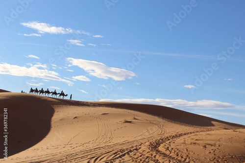 sand dunes in the sahara