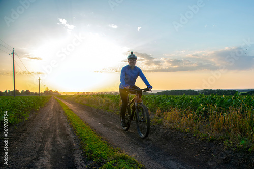 cyclist on bike rides along the fields of wheat in the sunlight. sports and hobbies. outdoor activities