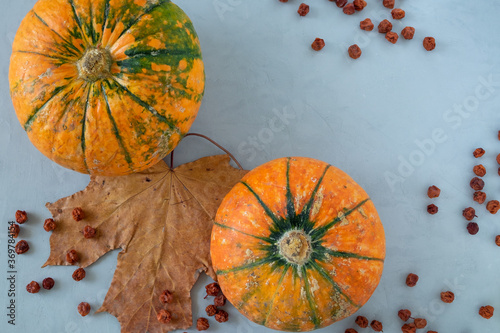 Ripe pumpkins and dried cranberries on a gray background with a maple leaf. Harvest concept, Thanksgiving day. Horizontal orientation, selective focus, top view. photo