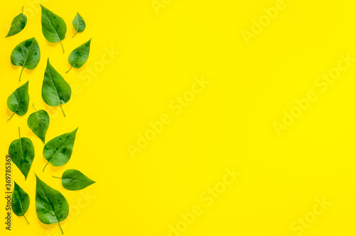 Lauout of green leaves - nature background. Top view