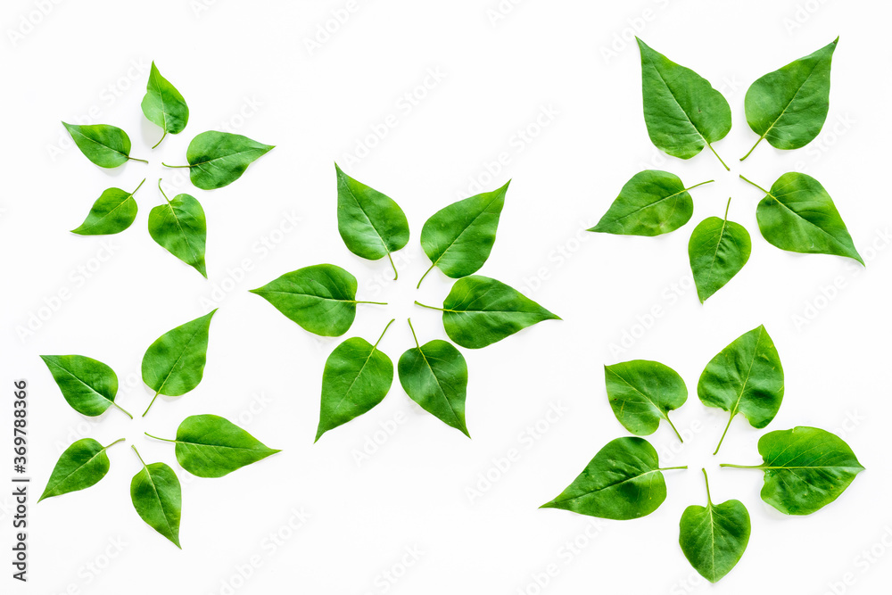Lauout of green leaves - nature background. Top view