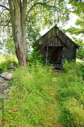 old wooden house in the abandoned village in the green grass under blue summer sky