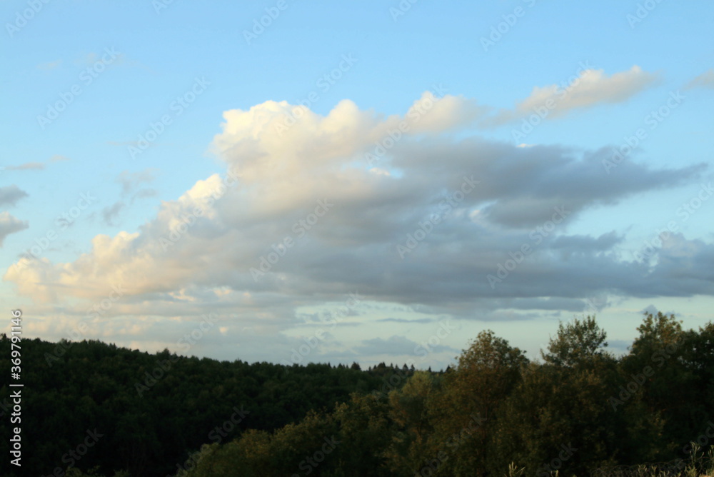 summer landscape forest and sky with clouds