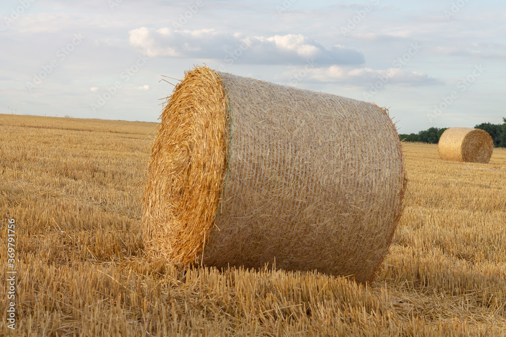 big haystack on the field