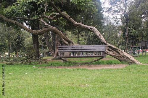 A small wooden bench in the middle of a park with green grass and a tree that is growing sidewards giving a deserted feeling photo