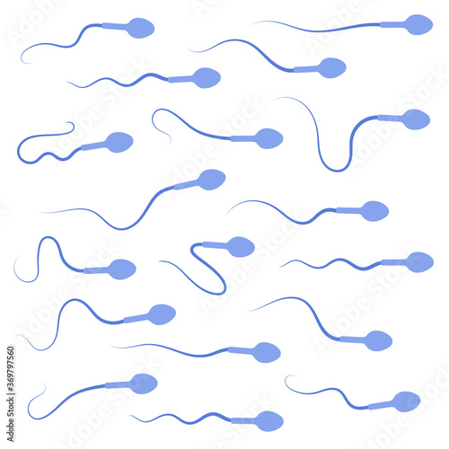 Reproductive system concept