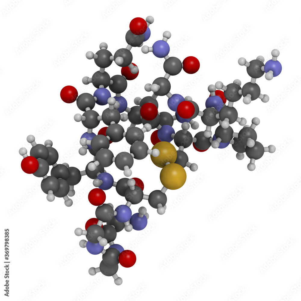 Terlipressin drug molecule. 3D rendering. Atoms are represented as spheres with conventional color coding: hydrogen (white), carbon (grey), nitrogen (blue), oxygen (red), sulfur (yellow). Terlipressin drug molecule. 3D rendering. Atoms are represented as spheres with conventional color coding: hydrogen (white), carbon (grey), nitrogen (blue), oxygen (red), sulfur (yellow).