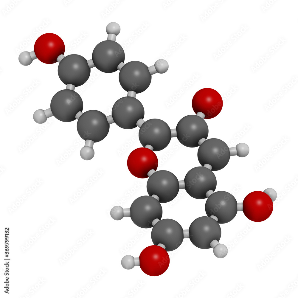 Pelargonidin pigment molecule. 3D rendering. Atoms are represented as spheres with conventional color coding: hydrogen (white), carbon (grey), oxygen (red).