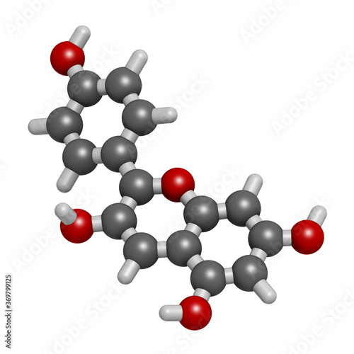 Pelargonidin pigment molecule. 3D rendering. Atoms are represented as spheres with conventional color coding: hydrogen (white), carbon (grey), oxygen (red). photo