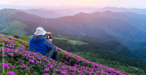 Photographer taking photo of rhododendron flowers covered mountains meadow in summer time. Purple sunrise light glowing on a foreground. Landscape photography