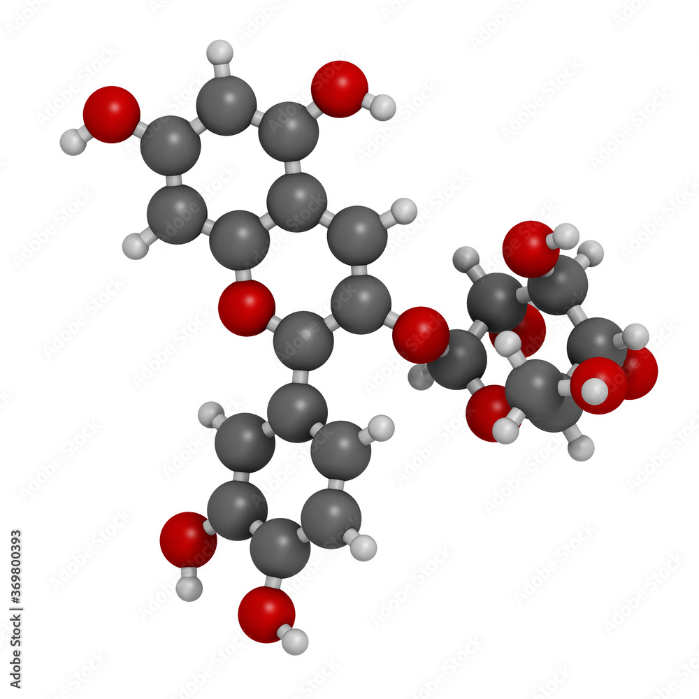 Chrysanthemin plant pigment molecule. 3D rendering. Atoms are represented as spheres with conventional color coding: hydrogen (white), carbon (grey), oxygen (red). Chrysanthemin plant pigment molecule. 3D rendering. Atoms are represented as spheres with conventional color coding: hydrogen (white), carbon (grey), oxygen (red).