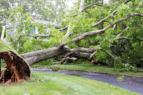 Tree falls over driveway and on to house during tropical storm Isaias