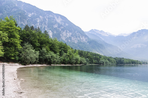 Lake Bohinj in Slovenia - clear and transparent water © kobolia