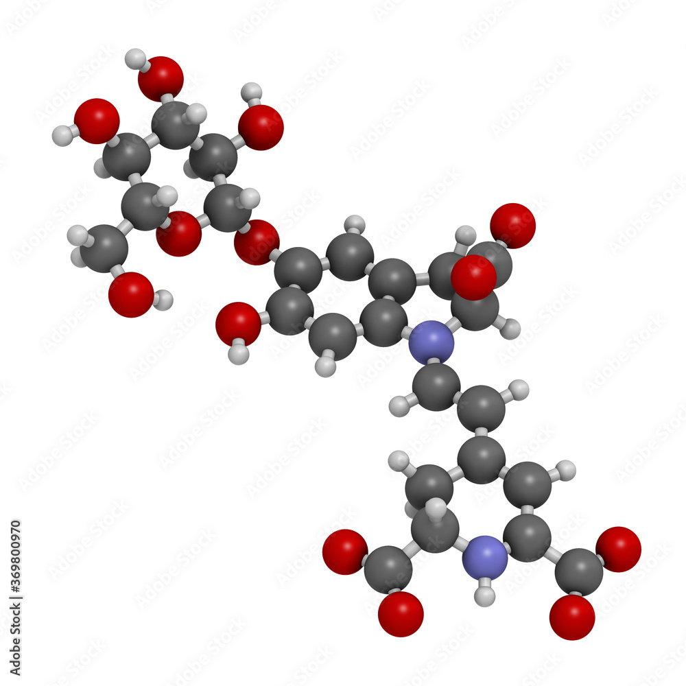 Betanin or beetrood red plant pigment molecule. 3D rendering. Atoms are represented as spheres with conventional color coding: hydrogen (white), carbon (grey), oxygen (red), nitrogen (blue). Betanin or beetrood red plant pigment molecule. 3D rendering. Atoms are represented as spheres with conventional color coding: hydrogen (white), carbon (grey), oxygen (red), nitrogen (blue).