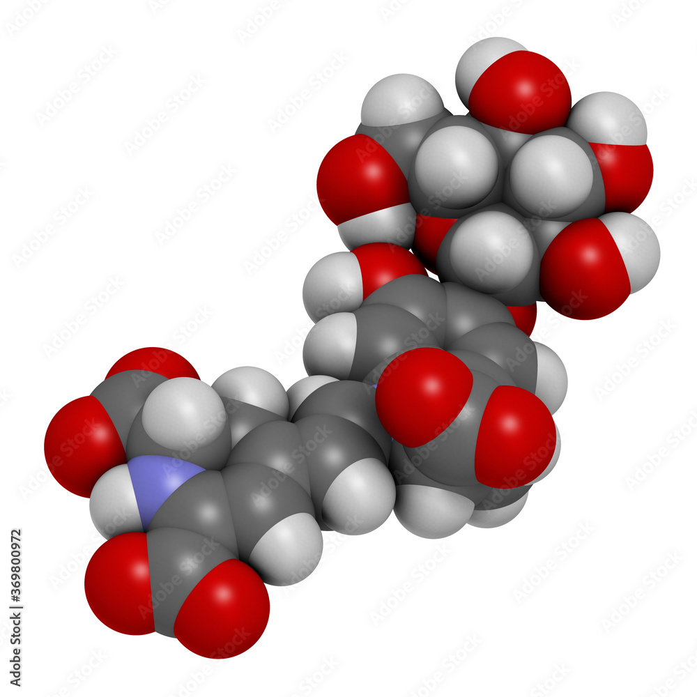 Betanin or beetrood red plant pigment molecule. 3D rendering. Atoms are represented as spheres with conventional color coding: hydrogen (white), carbon (grey), oxygen (red), nitrogen (blue). Betanin or beetrood red plant pigment molecule. 3D rendering. Atoms are represented as spheres with conventional color coding: hydrogen (white), carbon (grey), oxygen (red), nitrogen (blue).