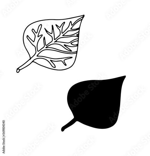 Hand drawn botanical poplar leaf. Leaf silhouette. Line art, doodle, minimalism, modern style, vector floral graphic illustration.