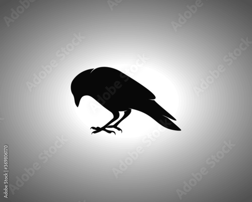 Crow Silhouette on White Background. Isolated Vector Animal Template for Logo Company  Icon  Symbol etc